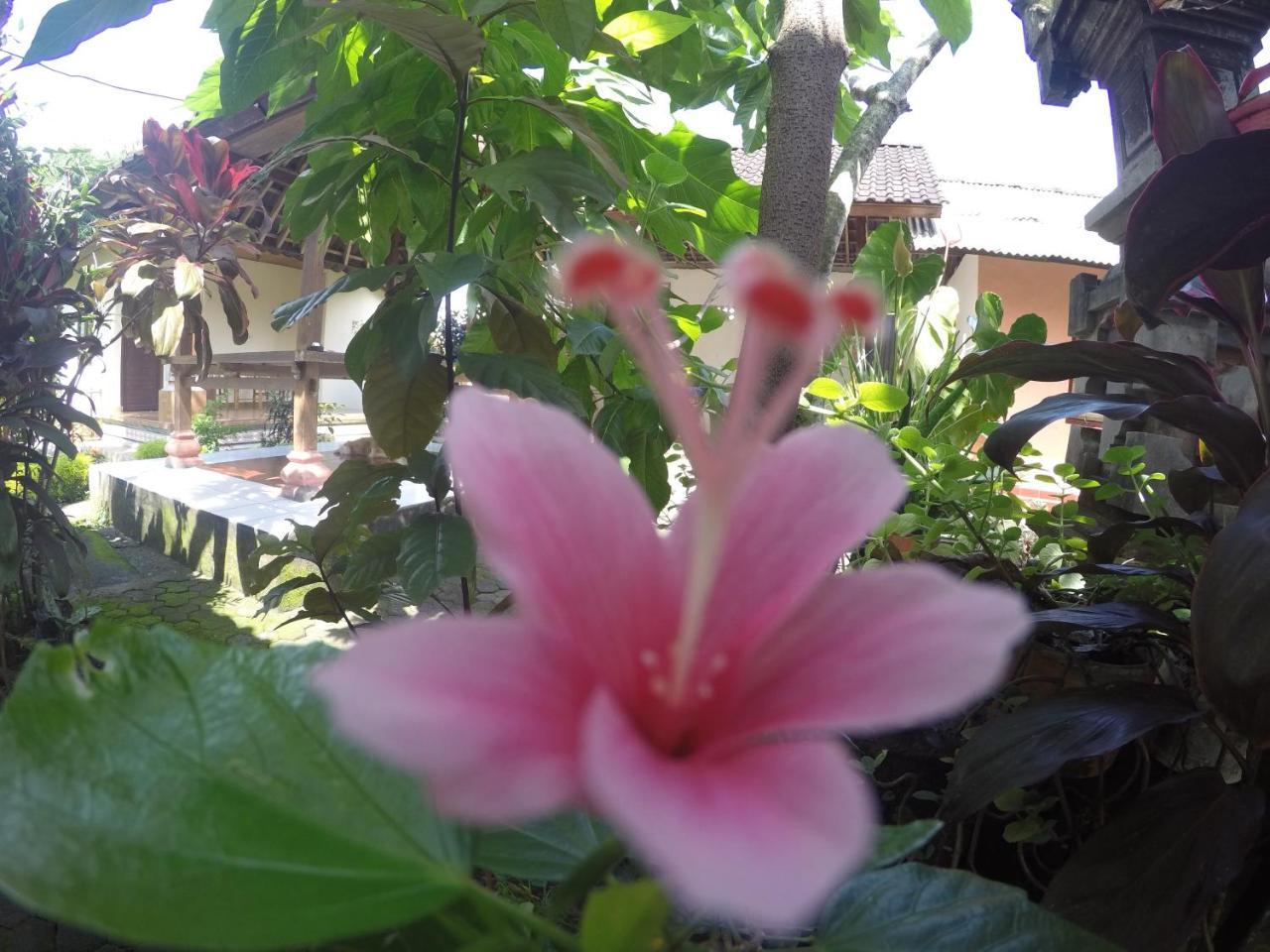 Dipa Home Stay Убуд Екстериор снимка